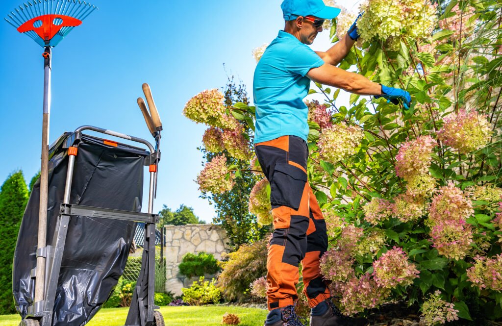 Backyard Garden Seasonal Maintenance